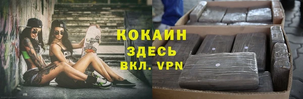 трава Армянск