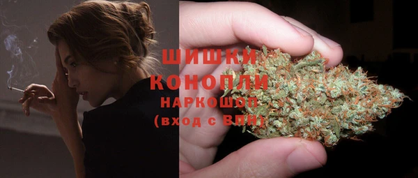 шишки Алексеевка