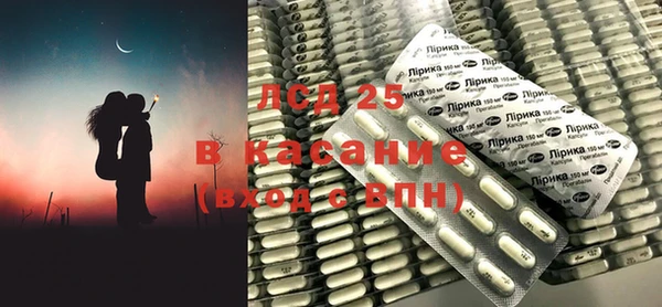 ПСИЛОЦИБИНОВЫЕ ГРИБЫ Алексин